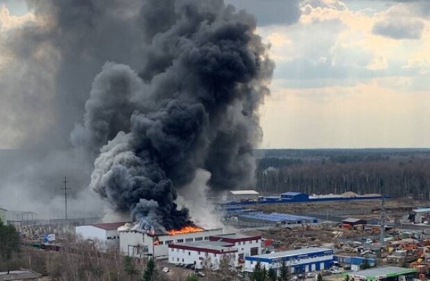 Пожар в Подмосковье, фото: youtube.com