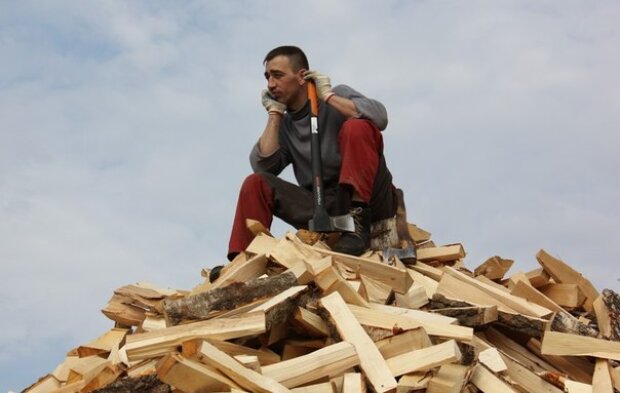 На одну людину дадуть 15 кубометрів: запрацював державний сервіс з купівлі дров для населення