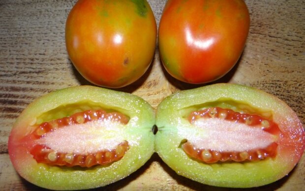 Товстошкірі помідори, фото: youtube.com