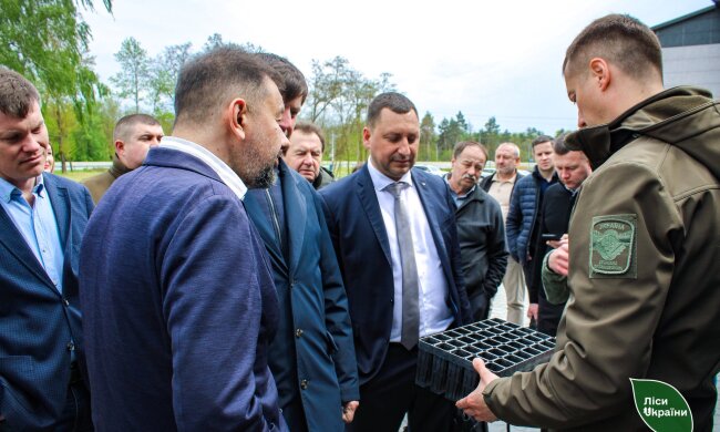 Ігор Зубович, Голова комісії з перетворення ДП «Ліси України»