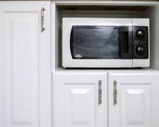 Микроволновая печь. Фото: YouTube