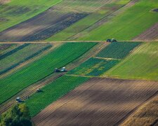 Дадут дополнительные огороды: украинцам пообещали новые земельные участки