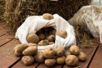Вирощування картоплі, фото: youtube.com