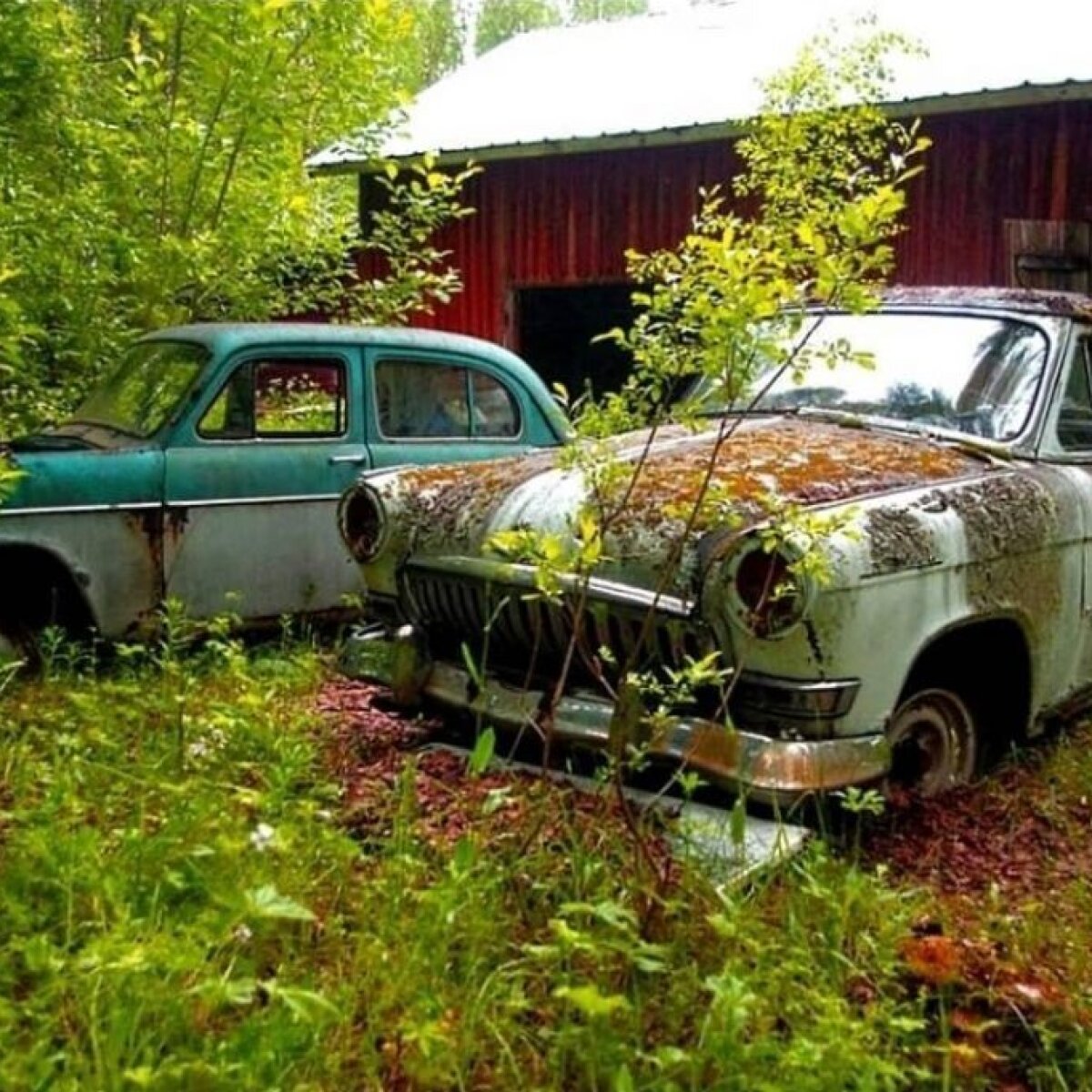 В одном из европейских лесов нашли целое кладбище советских автомобилей.  Hyser.com.ua