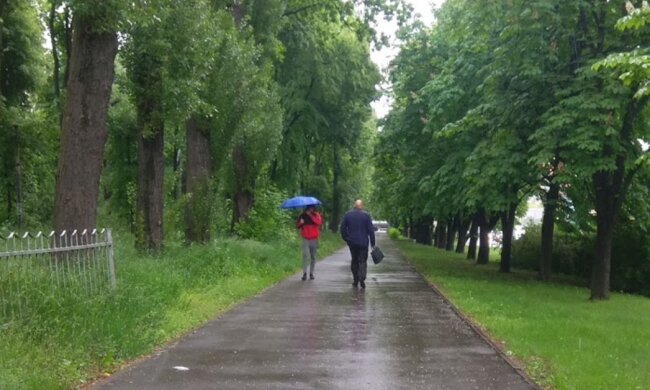 Снегопады и ливни за день до лета. Погода на западе Украины пошла против законов природы