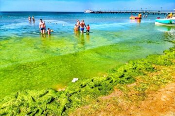 Це знак з небес: море на російських курортах вкрилося огидною поганню