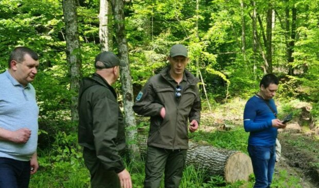 ДЕІ проведе позаплановий захід контролю на одному з найбільших сміттєспалювальних заводів Закарпаття