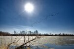 День весняного рівнодення, фото: скріншот