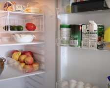 Он есть в каждом холодильнике: назван самый токсичный предмет, который отравляет вашу еду