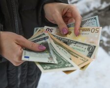 Люди начали подходить к обменникам: эксперт рассказал, что будет с курсом доллара к Новому году