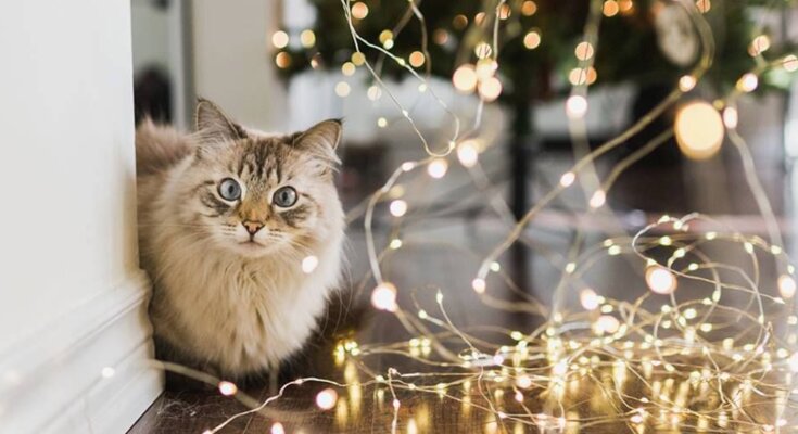 Гороскоп, зображення: Pinterest