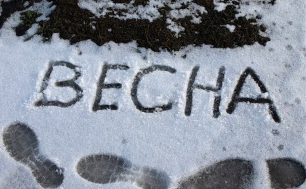 Весна отступает: в Украину идут серьезные снегопады. Когда ожидать погодного удара
