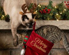 Новий рік, фото: Pinterest