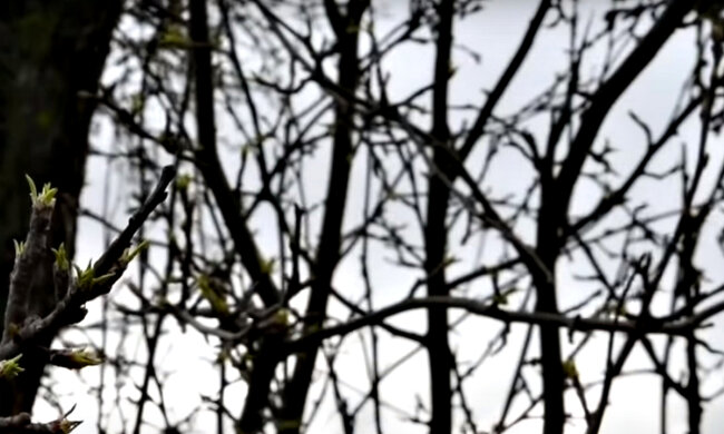 Погода в Украине. Фото: скриншот YouTube-видео.