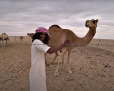 Ніяких верблюдів! Фото: скріншот YouTube-відео.