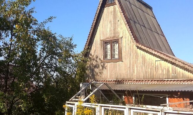 Будуть нещастя та біди: яких дерев не повинно бути біля будинку на дачі чи селі