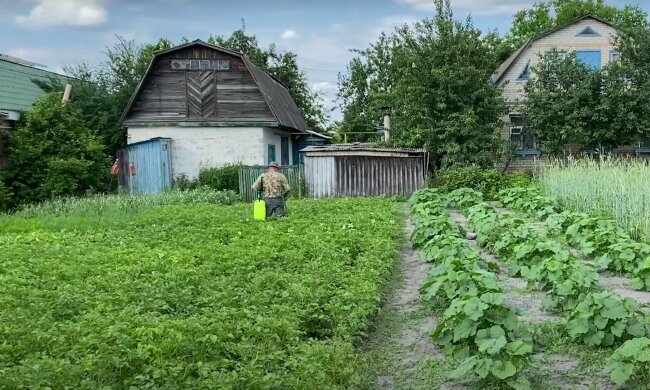 Город. Фото: скріншот YouTube-відео