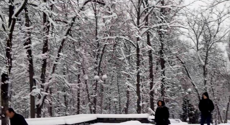 Зима. Фото: скріншот Youtube-відео