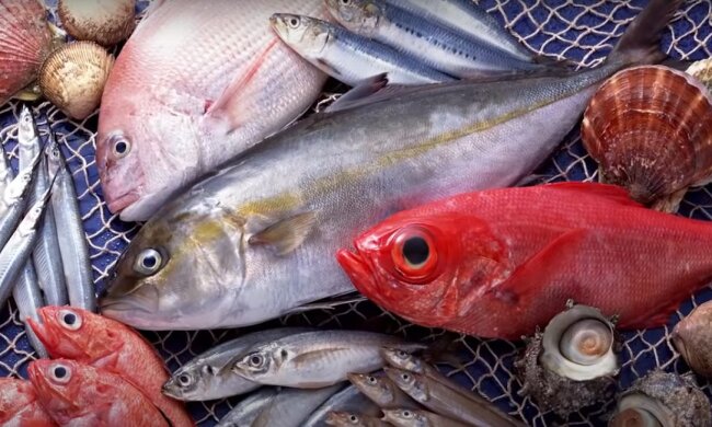 Рыба, фото: скриншот You Tube