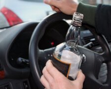 Когда можно садиться за руль после того, как выпили: показатели по разным напиткам