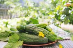 Секрет наших бабушек: для чего смазывать зеркало огурцом и каким будет результат