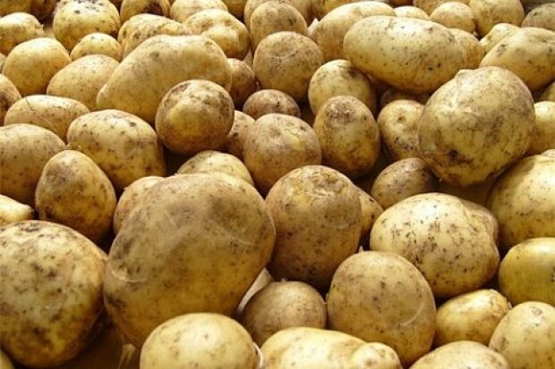Что нужно сделать с мерзлой картошкой, чтобы она снова стала пригодной к употреблению