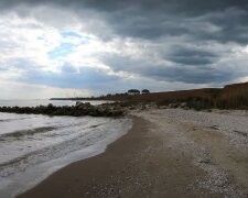 "Сюрприз" курортникам: на березі Азовського моря знайшли крокодила. Фото