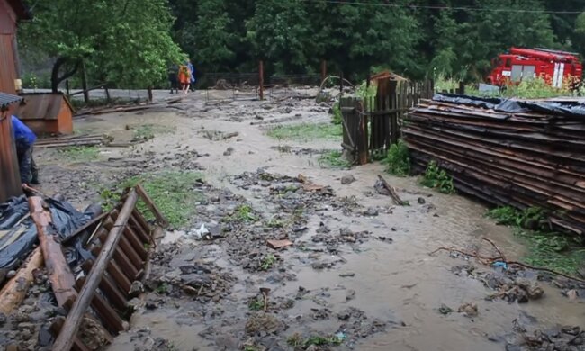 Скриншот YouTube