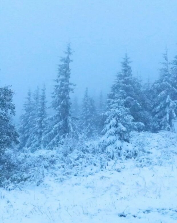 Снег на Пожижевской полонине