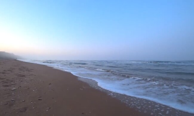 Не медузами едиными. На Азовском море новая напасть, туристы возмущены